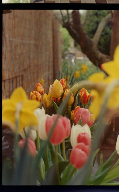 2026年数字钱包技术趋势：从KDPay看行业演进