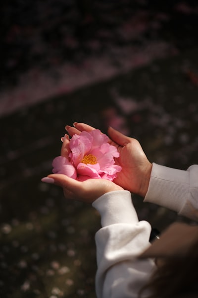 数字钱包行业功能整合趋势观察：以KDPay钱包为例