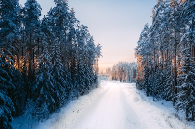 KDPay钱包发布2026年技术路线图，聚焦合规与跨链互操作