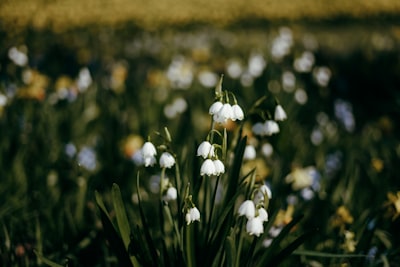 KDPay公布2026年技术路线图 聚焦功能架构升级