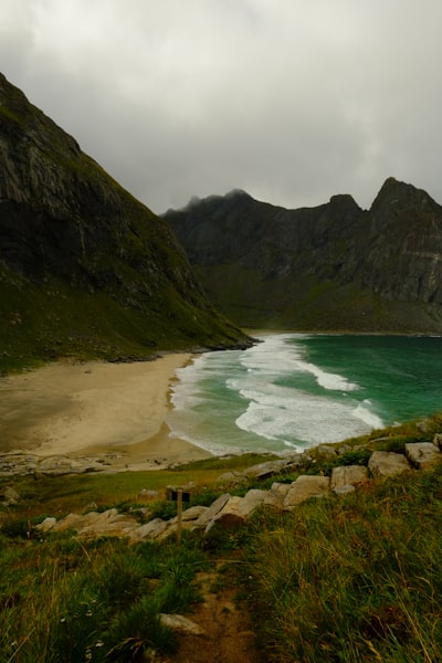 Trust Wallet 2026功能升级：强化安全与多链体验